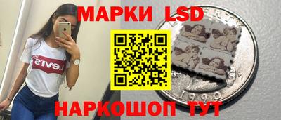 прущие крисы Шелехов