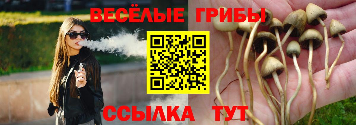 Галлюциногенные грибы Psilocybine cubensis Армавир